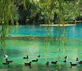 44 días de retiro de natación en lago natural y yoga en el límite del Parque Nacional de los Abruzos, Italia - Photo 1