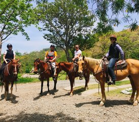 8 jours de séjour équestre Explorer 5 étoiles à Miramar, Puntarenas - Photo 3