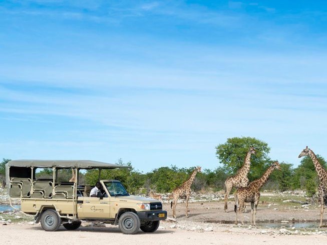 3 Day Exclusive Camping Safari in Etosha National Park, Namibia ...