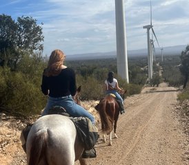 82 Day Berber Villages and Sand Dunes Exploring Horseback Riding Holiday to South Essaouira, Morocco - Photo 1