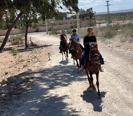 5 jours en stage de yoga, galops à cheval sur la plage et détente à Essaouira, Maroc - Photo 4