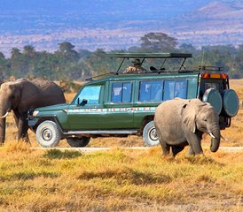 7 jours safari faune sauvage au Maasai Mara, Serengeti et cratère du Ngorongoro, Kenya et Tanzanie - Photo 3