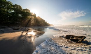 Playa Santa Teresa Retraites en Reizen