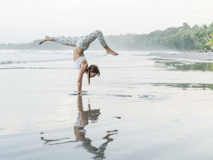 25 Tage 200-Stunden Yogalehrer Ausbildung mit Nähe zur Natur in Puerto Viejo de Talamanca