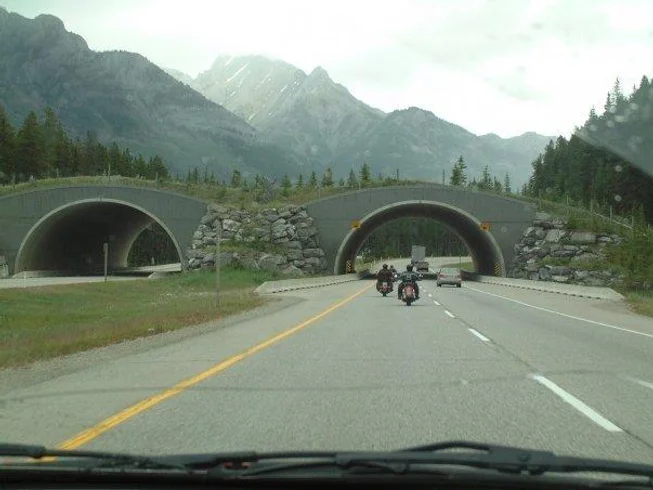 13 Day Fully-Guided Canadian Rockies Motorcycle Tour in Western Canada photo 8