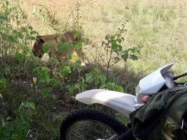 22 Day Kilimajaro Guided Motorcycle Tour in Uganda, Rwanda, Tanzania, and Kenya photo 7