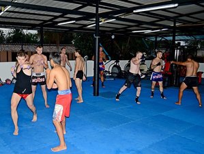 Phuket, Thailand travel tips from an expert expat: Muay thai