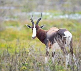 3 Tage Budgetfreundliche Gruppen-Safari in Tansania mit Wasserfällen und Kaffeetour - Photo 2
