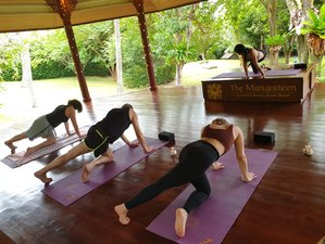 15-Daagse AyurYoga Medic+ Ayurveda Retreat in Rawai, Phuket