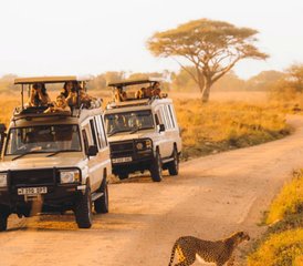 104 jours découverte de la Tanzanie : safari de groupe économique avec aventure en camping, Tanzanie - Photo 1