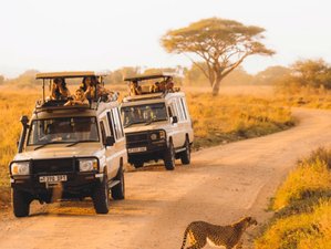 4-Daagse Smaak van Tanzania Budget Groepssafari Kampeeravontuur