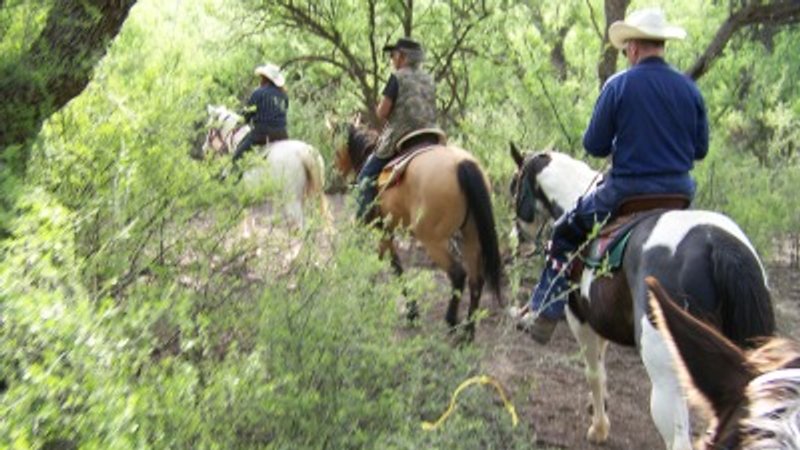 4 Day Long Weekend Horseback Riding and Ranch Vacation in Benson, Arizona
