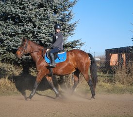 6 jours en stage d'équitation d'été à Hrabušice, Slovaquie - Photo 2