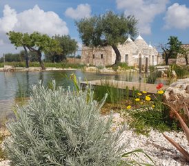 75 Day Yoga Retreat with Wellness and Cooking in Puglia, Italy - Photo 1