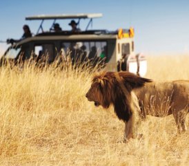 115 jours safari faune exceptionnel et aventure Big Five en Tanzanie, Tanzanie - Photo 1