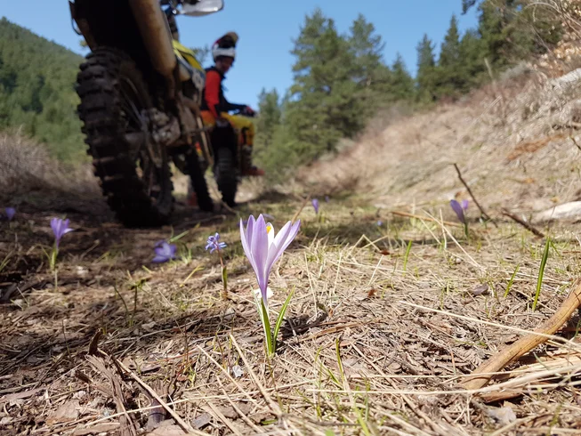 6 Day Skiing and Enduro Guided Motorcycle Tour in Banya, Blagoevgrad Province photo 5