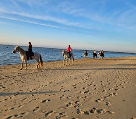 3 Tage Reitabenteuer für Zwei an den Stränden von Gaio-Rosário, Lissabon, in Portugal - Photo 2