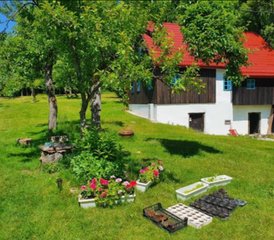 22 Tage 80-Stunden-Hybrid: Online- und Präsenz-Gesichtsyogalehrer-Ausbildung in Gorski Kotar, Kroatien - Photo 5