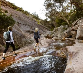 3 Tage Great Ocean Road und Grampians Wildlife Tour in Australien - Photo 3