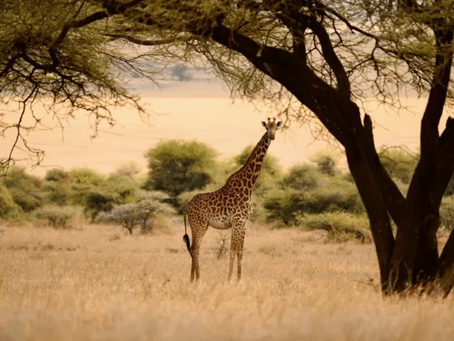 4 Day Guided Motorcycle Adventure in Tanzania photo 8