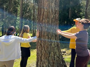 3 Day Awaken to Life Spring Wellness Retreat Near Davos, Switzerland
