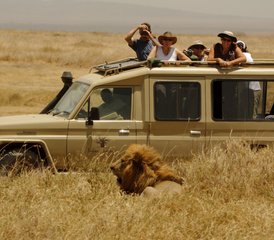 10 jours en stage de culture africaine et safari animalier au Kenya et en Tanzanie : voir le Serengeti et le Maasai Mara - Photo 4