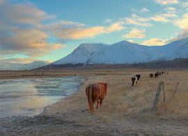 Akureyri Retreats und Reisen