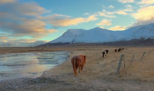 Akureyri Retreats & Trips