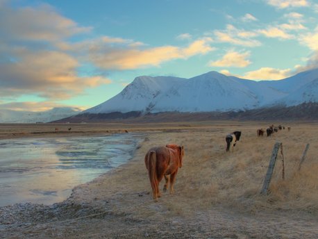 Akureyri