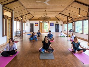 8 Day Blissful Ayurveda Detox Yoga Retreat in Rishikesh