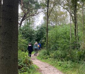 3 jours en stage de yoga et méditation au bord de la mer à Vlieland, Pays-Bas - Photo 5