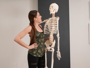 Online Self-Paced 20-Hour Yoga Anatomy Teacher Training