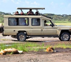 313 jours en stage familial de safari animalier au Kenya et séjour à Diani Beach - Photo 1