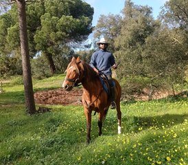 8 Day Experience Rajasthan on Horseback: Desert and Exploration Horse Safari in India - Photo 5
