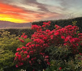 3-Daagse Iyengar Yoga Weekend Retreat in Hogsback, Eastern Cape, Zuid-Afrika - Photo 3