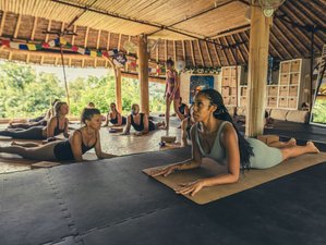 28 Day 300-Hour Yoga Teacher Training in Uluwatu, Bali, Indonesia