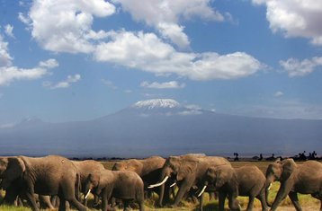 3-Daagse Amboseli Group Joining Safari in Kenia