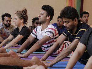 30 Day Re-Discover Yourself Transform Your Body, Mind & Soul Yoga Retreat in Goa, India