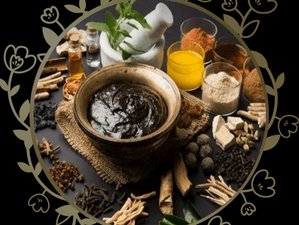 2 Day Quick Bliss Ayurveda Retreat in Munnar, India, with Customized Authentic Therapies