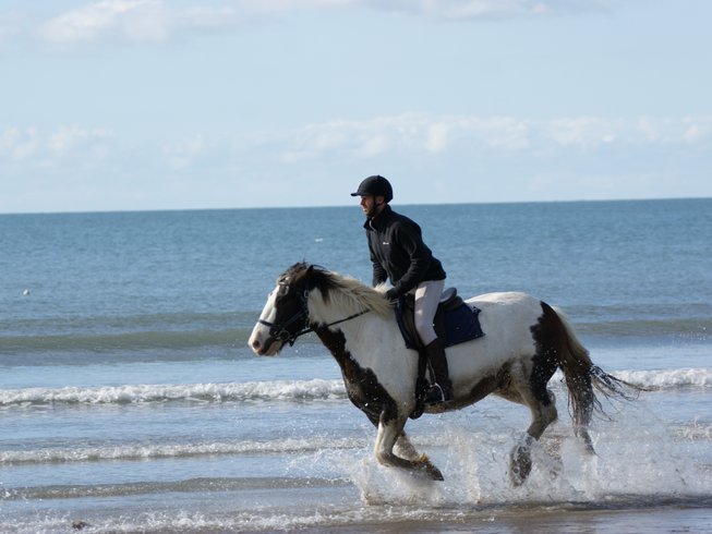 3 Day Beach and Woodland Horse Riding Holiday in Pembrokeshire, Wales ...