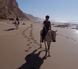 8 jours en stage d'équitation avec étirements yoga dans un riad en bord de mer, Agadir, Maroc - Photo 3