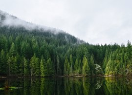 Vancouver Retreats und Reisen