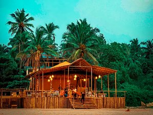 8 Day Beachfront Multi-style Yoga Holiday in Goa, India
