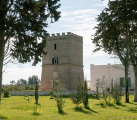 7 Day La Dolce Reset: Luxury Yoga Retreat with Cultural Experiences and Beach Trip in Puglia, Italy - Photo 4