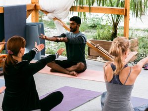 22 Day 200-Hour Hatha Flow Yoga Teacher Training in Kerala, India