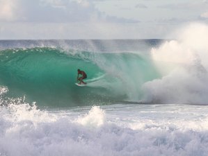 6 Day Balance Package: Surf' n' Yoga Holiday in Beautiful Fuerteventura