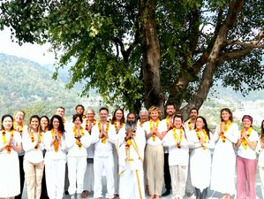 29 Day 300-Hour Multi-Style Yoga Teacher Training Course in Uttarakhand, India