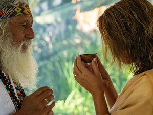 7 Day Yoga and Ayahuasca Wellness Retreat with Breathwork and Meditation in Palomino, Colombia