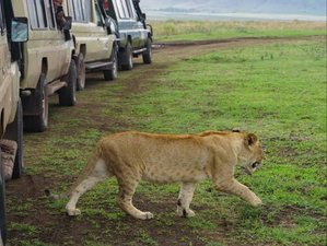 6-Day Northern Tanzania Big Five Safari