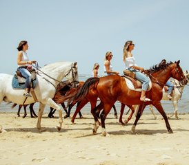 3 jours escapade campagne avec journée d’activités équestres à Moita, Portugal - Photo 4